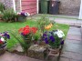 garden * 2032 x 1524 * (1.21MB)