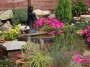 100_0651 * 2032 x 1524 * (1.19MB)