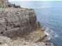 100_0684 * 2032 x 1524 * (1.22MB)