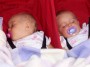 100_0730 * 2032 x 1524 * (396KB)