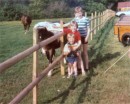 camping1 * 1281 x 1025 * (229KB)