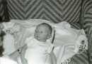 82bw7 * 1464 x 1024 * (241KB)
